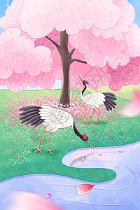 樱花树下的两只丹顶鹤背景插画高清图片