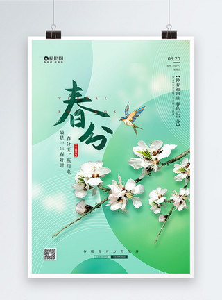 春天带桃花简约二十四节气春分节日海报模板