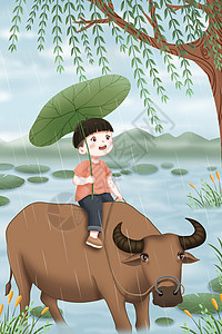 清明节雨中骑牛的牧童插画高清图片