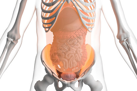 三维腹膜场景图片