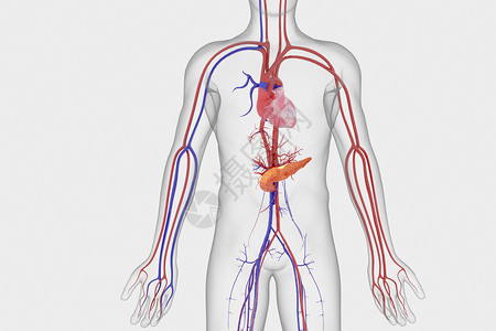 胰腺癌场景3D人体病灶高清图片
