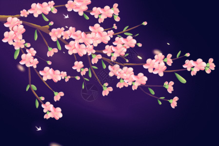 粉色植物花朵春天唯美治愈粉色樱花插画GIF高清图片