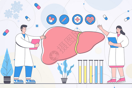 医疗疾病知识全国爱肝日医生宣传肝部知识插画