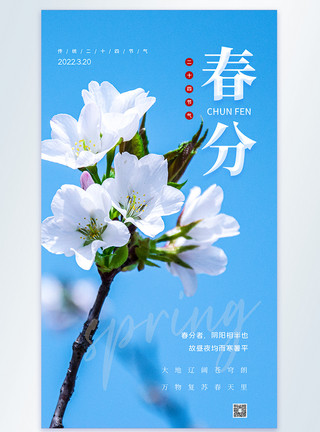 春归正直花盛时传统二十四节气春分摄影图海报模板