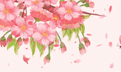 春天樱花gif图片