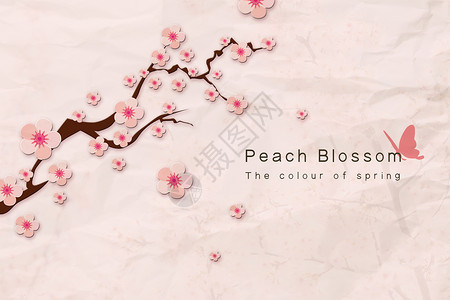 粉红桃花桃花纸质背景设计图片