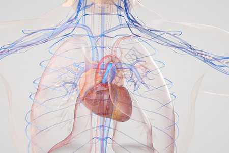 血氧仪心脏MEMS植入场景设计图片