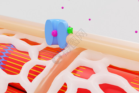 钙吸收心脏钙通道阻滞剂场景设计图片