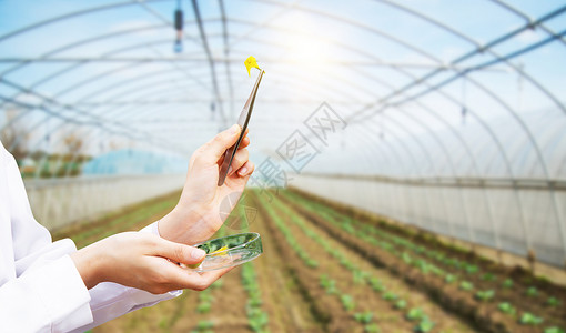 果蔬种植农业技术设计图片