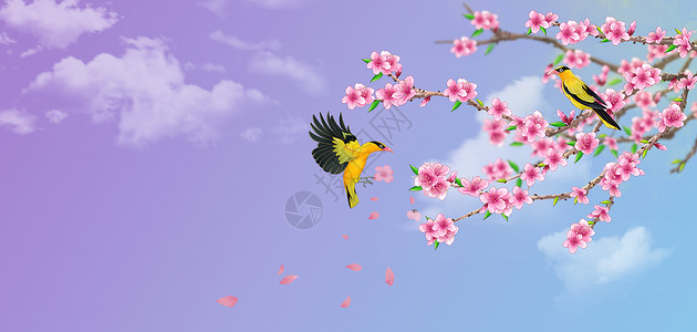 粉蓝鸟多肉渐变梦幻春天樱花背景设计图片