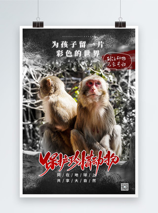 杀戮保护珍惜动物公益宣传海报模板