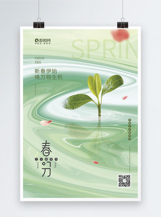 小绿芽清新春分二十四节气海报模板
