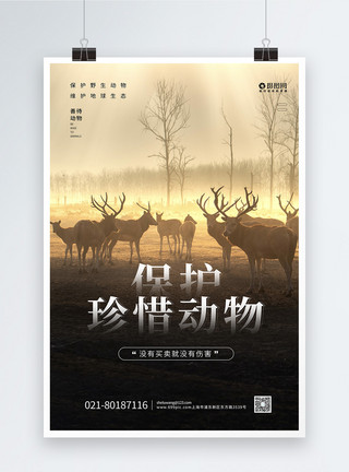 鹿群保护珍稀动物海报设计模板