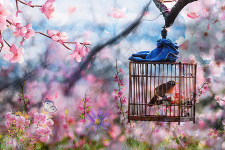 笼子和鸟鸟语花香春天背景设计图片