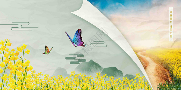 蝴蝶照片创意油菜花翻页背景设计图片