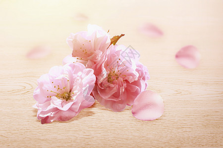 樱花特写花海桌面樱花特写设计图片