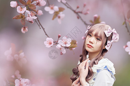 洛丽塔服装樱花树下的少女设计图片