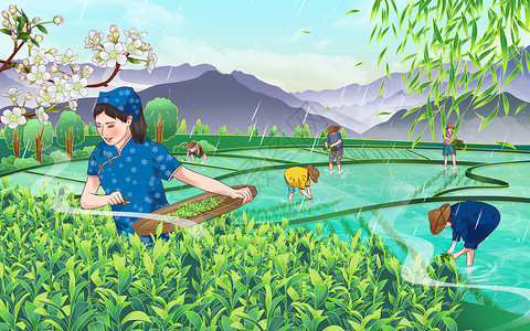 茶树手绘素材二十四节气谷雨国潮手绘插画
