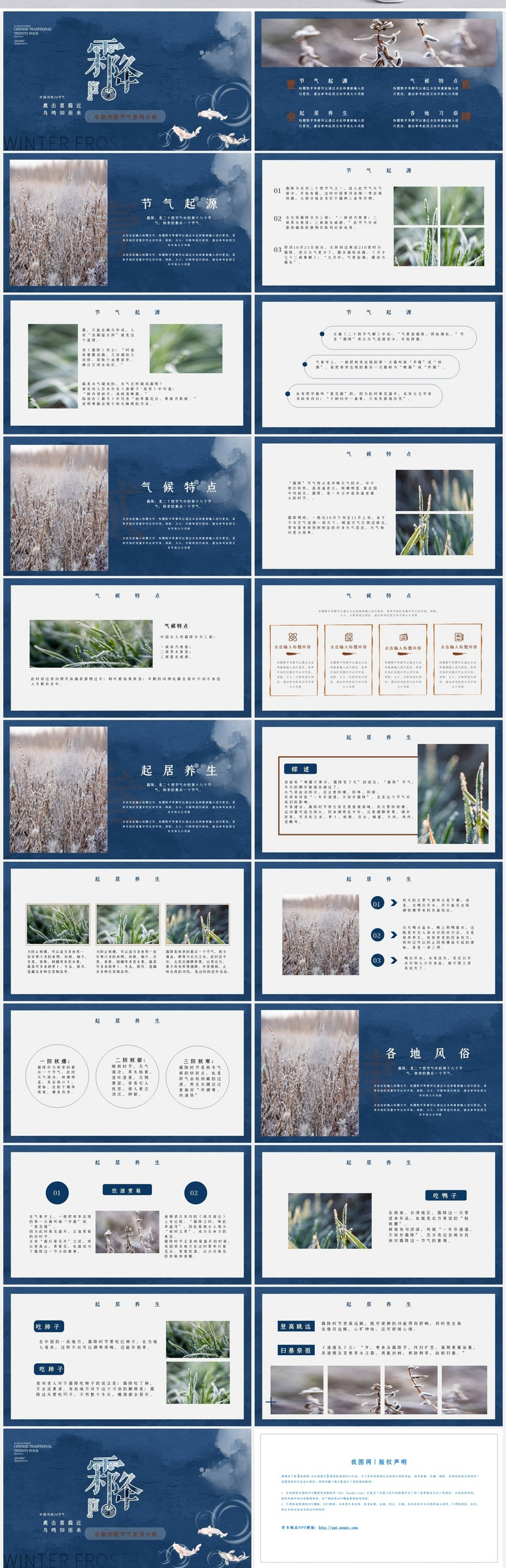 创意中国传统节气霜降主题宣传介绍PPT