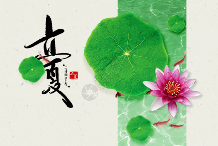 中国传统荷花创意拼接荷花立夏GIF高清图片