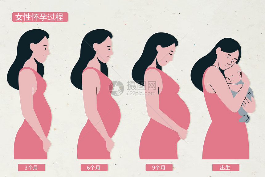 母亲节母亲怀孕过程矢量插画图片