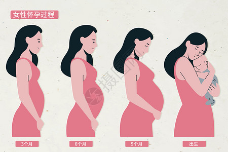 母亲节母亲怀孕过程矢量插画插画