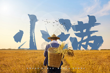 抱着小麦的农民农夫背影设计图片