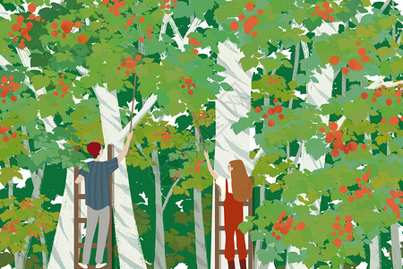 果树手绘夏日摘果实的情侣插画