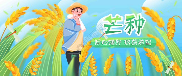 小麦蓝天二十四节气之芒种插画banner插画