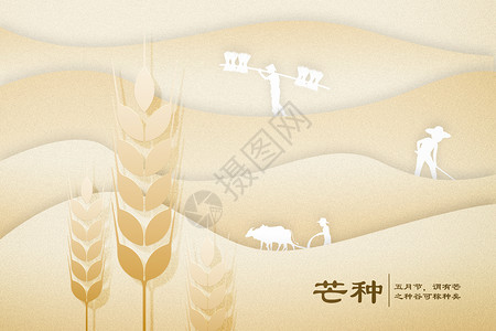 小麦水稻创意拼接小麦芒种设计图片