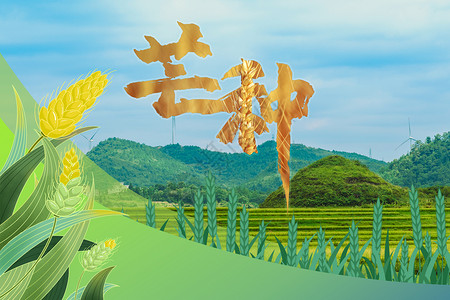 麦子田芒种麦穗24节气海报设计图片