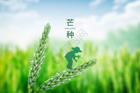 创意农民绿色小麦芒种图片
