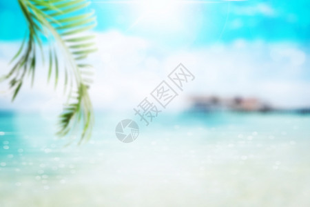 海边沙滩夏日椰树背景图片