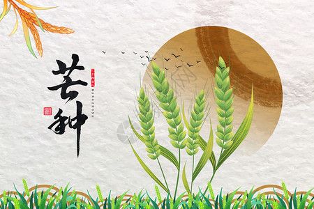 传统节气芒种海报中式纸质纹理国风背景设计图片