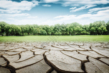 干旱土地绿洲干裂土地世界防治荒漠化和干旱日设计图片