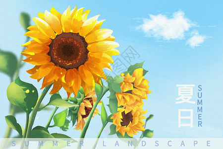 花卉场景夏日向日葵美好阳光场景插画插画