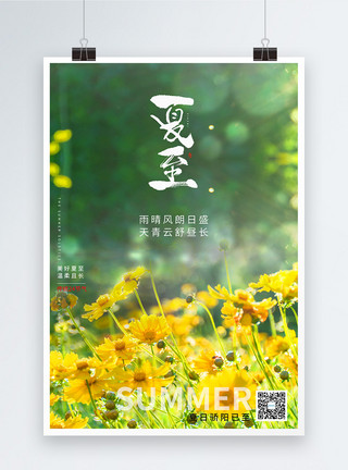 花类设计素材写实风夏至节气海报模板