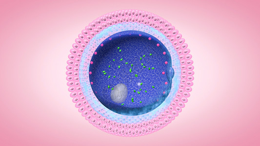 颗粒动画蛋细胞设计图片