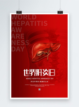 内脏保护红色简约世界肝炎日海报模板