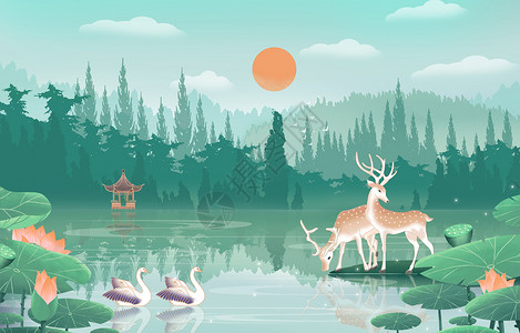在清晨森林中两只梅花鹿在荷塘边饮水插画