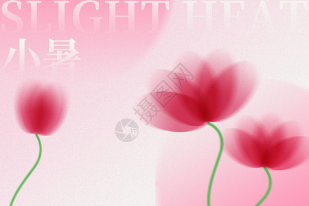 简约莲花粉红弥散小暑背景设计图片