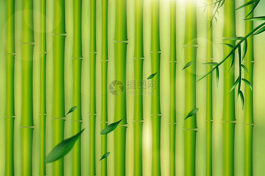 翠竹背景图片