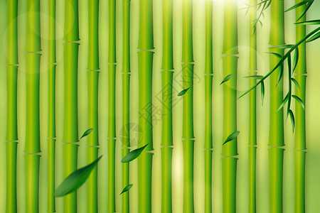 翠竹背景背景图片