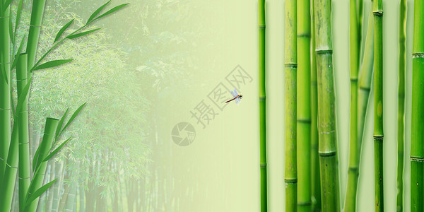 翠竹清新绿竹背景设计图片