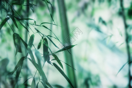 中式回纹玻璃门绿色大气竹纹背景设计图片