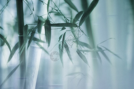 竹林清新的绿竹子水墨竹纹背景设计图片