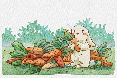兔子和萝卜水彩画背景图片