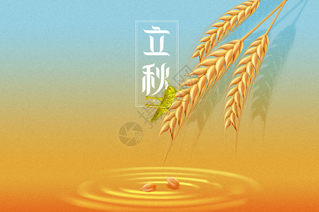 立秋创意蚂蚱小麦背景图片