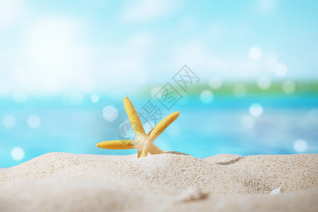大气海星唯美海滩背景图片