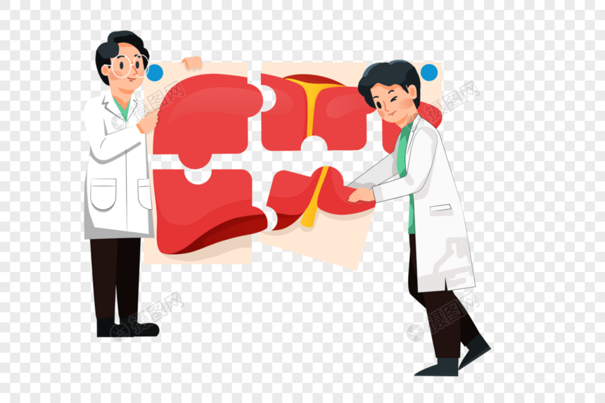 拼接肝脏的医生图片